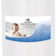 Filtro spa repuesto Pleatco Pure 6CH-940