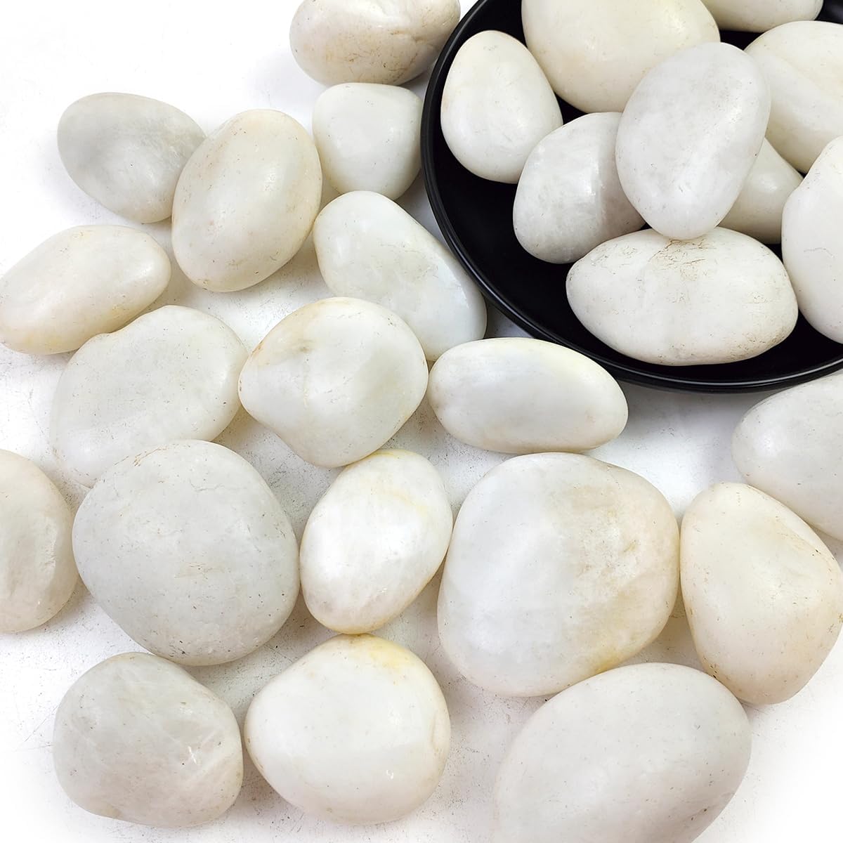 Rocas río blancas 40lb 2-3pulg decorativas paisajismo