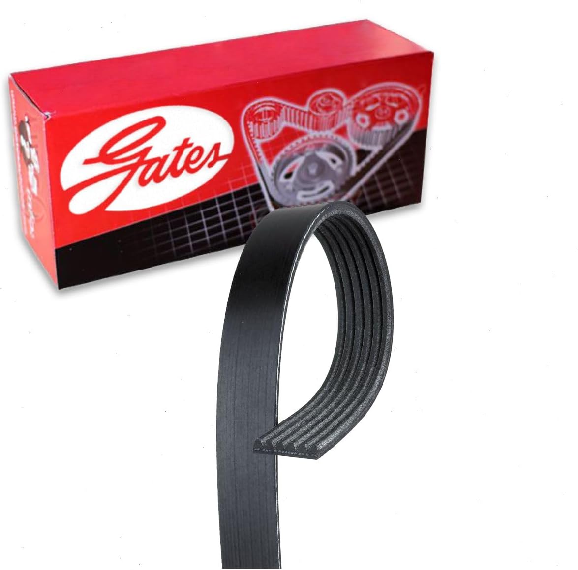 Correa serpentina Gates Micro-V comp Ford Mustang 5.0L 11-19