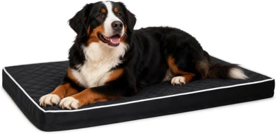 Cama ortopédica perro grande impermeable 47x29pulg negro