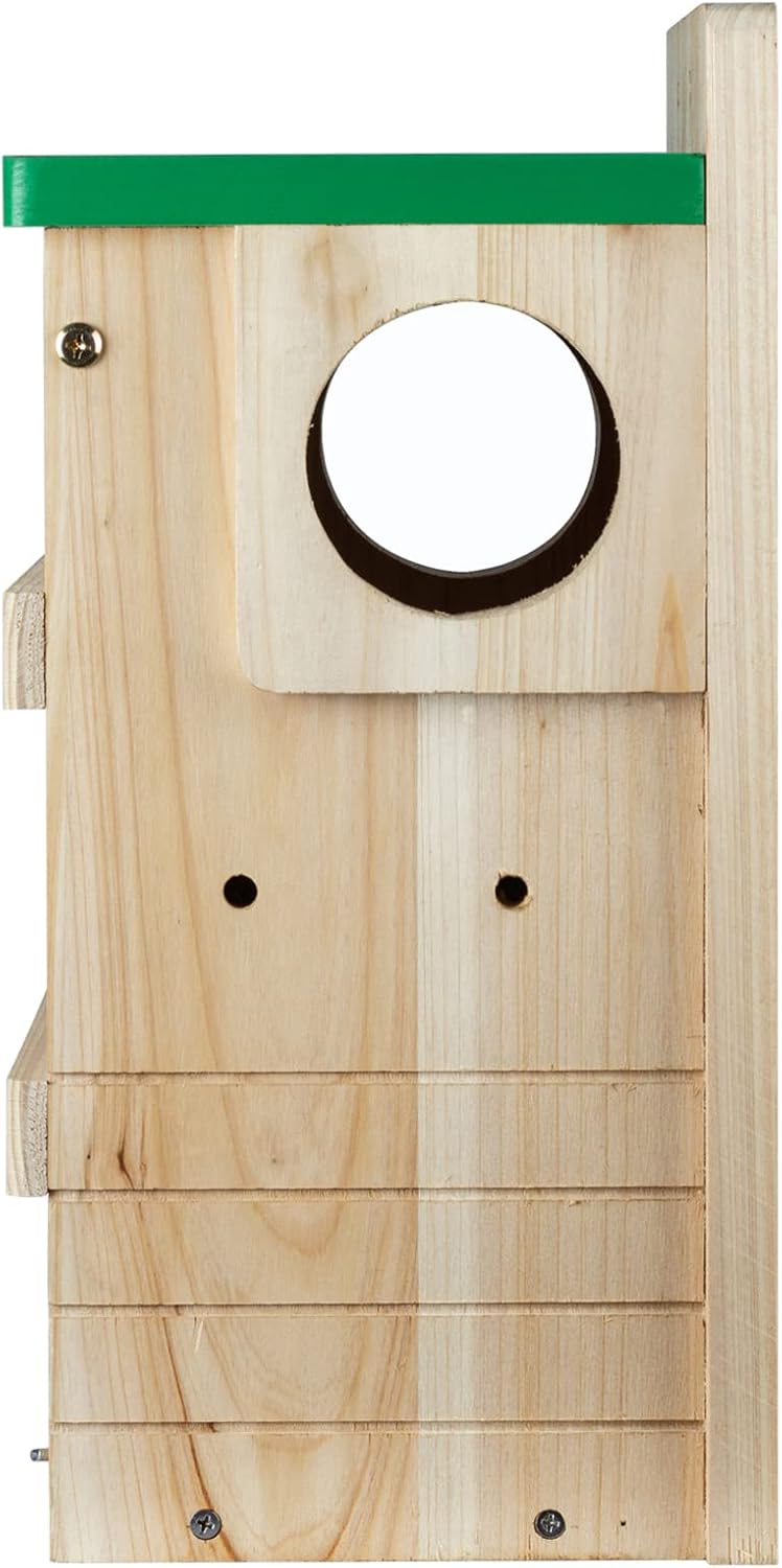 Casas de ardilla de madera para caja anidación exterior