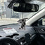 Ambientador coche aroma cereza anime colgante retrovisor