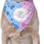 Bandana perro revelación género uso diario rosa