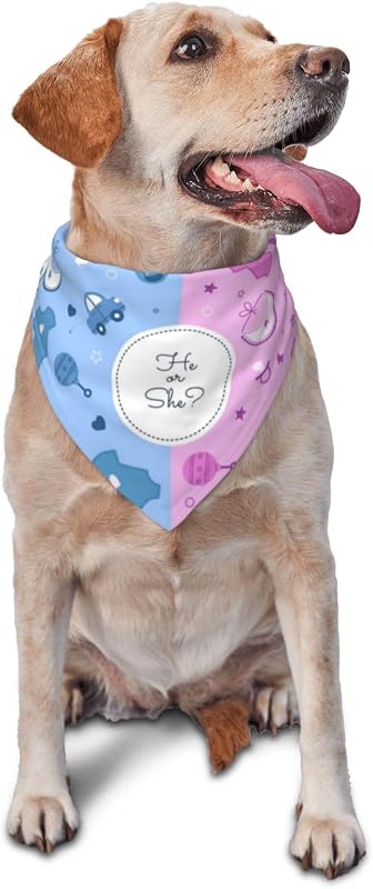 Bandana perro revelación género uso diario rosa