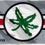 Bandera Ohio State Buckeyes 3x5