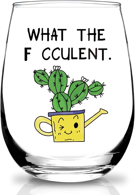 Regalo plantas cactus suculentas para mujer