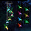 Carillón colibrí transparente cubierta negra jardín