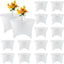 15 Manteles Elastano Ajustables 6ft 72pulg Blanco
