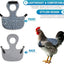 Sillín gallina con correa ajustable para apareamiento negro