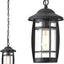 Lámpara colgante exterior 12pulg vidrio negro resistente