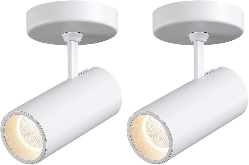 Lámpara techo LED 12W blanco cálido 3000K