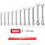 Set llaves combinación 12 puntos 19 Pzas 6-24mm