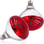 Bombillas infrarroja R40 250W E26 para pollos pack 2