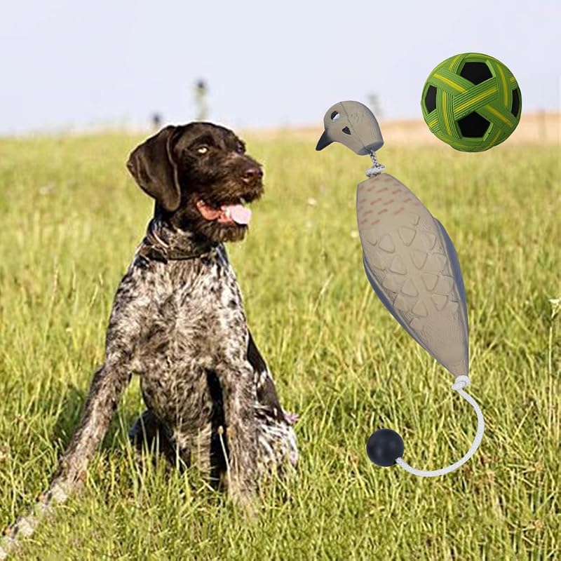 Parachoques simulados para entrenamiento perros caza espuma EVA
