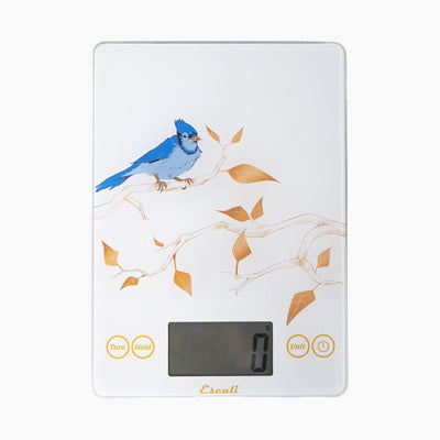 Báscula digital de vidrio Escali Arti Blue Jay para alimentos y cocina con pantalla grande