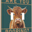 Placa interruptor doble vaca Highland decorativa