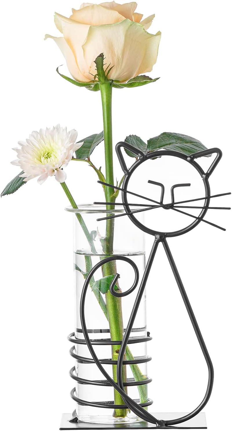 Jarrón hidropónico vidrio florero soporte terrario plantas gato
