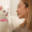 4 Pzas Collares Gato con Campanas Colgante Estrellas
