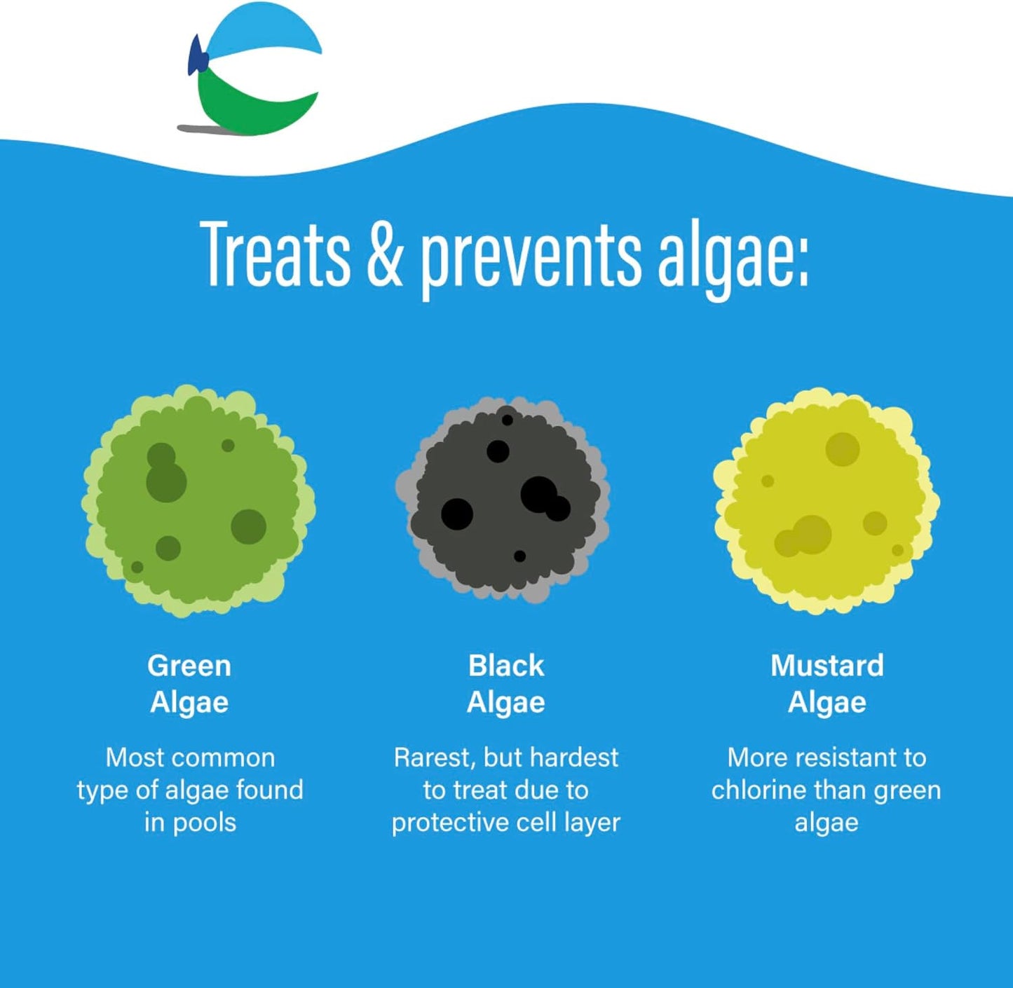 Algaecida piscina 90 dias mata algas verdes negras y