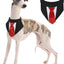 Pañuelos corbata perros esmoquin boda ajustable