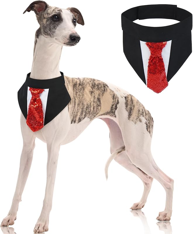 Pañuelos corbata perros esmoquin boda ajustable
