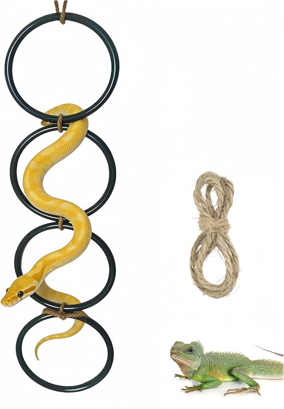 4 Pzas Juguetes Escalada Serpiente Anillos Lagarto