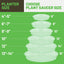 6 Pzas Platillos Plástico 12pulg Transparente para Macetas