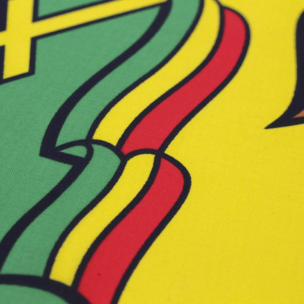 Bandera Etiopía León 3x5ft Bandera León Judá