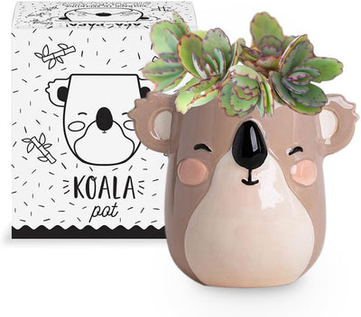 Maceta cerámica koala 7.6x7.6x10.2cm drenaje cómodo