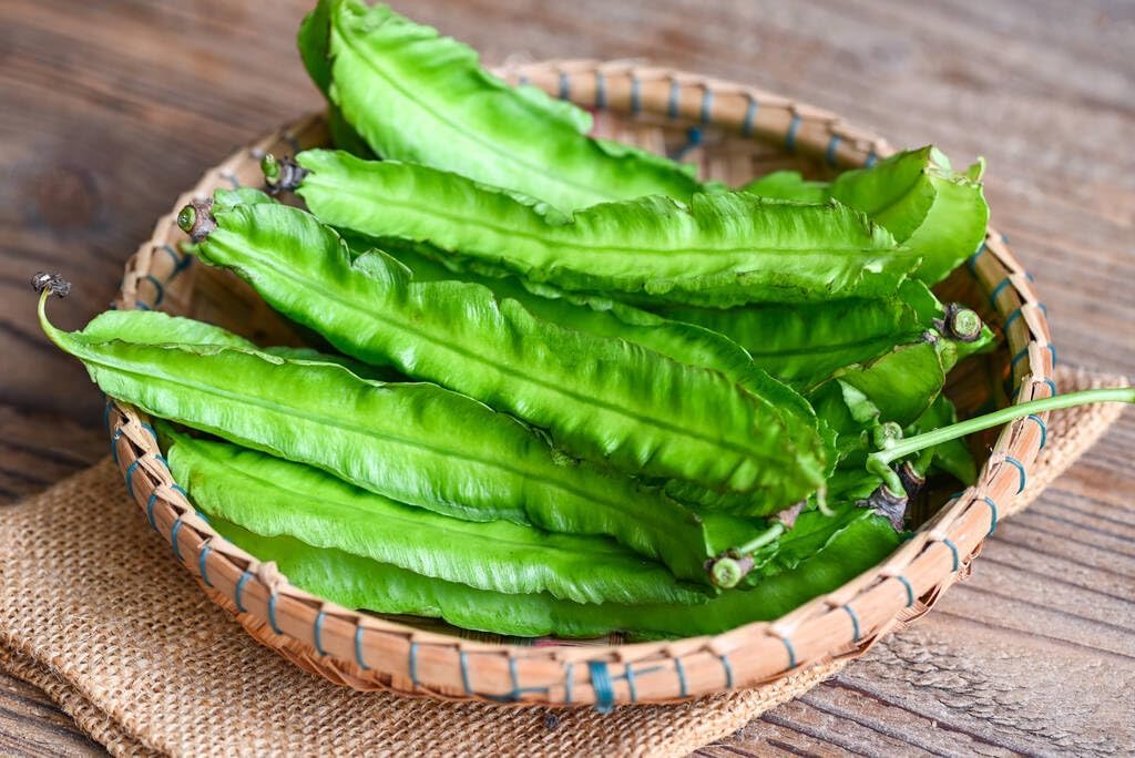 Semillas frijol con alas orgánicas 30 unidades para jardín tropical
