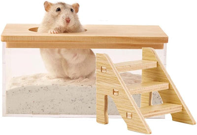 Caja arena hámster transparente con escalera grande