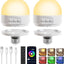 Bombilla E26 RGBWW control remoto 2.4GHz pack 2