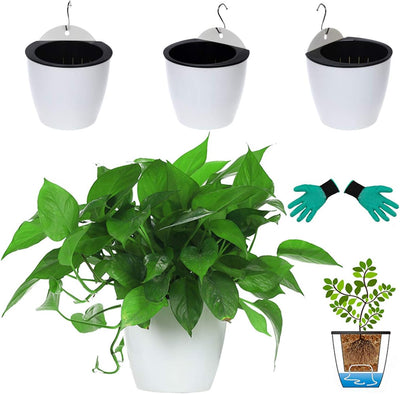 3 Macetas Plástico 7.3" para Colgar Violeta Africana