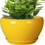Maceta Cerámica Interior 11" Decorativa con Drenaje