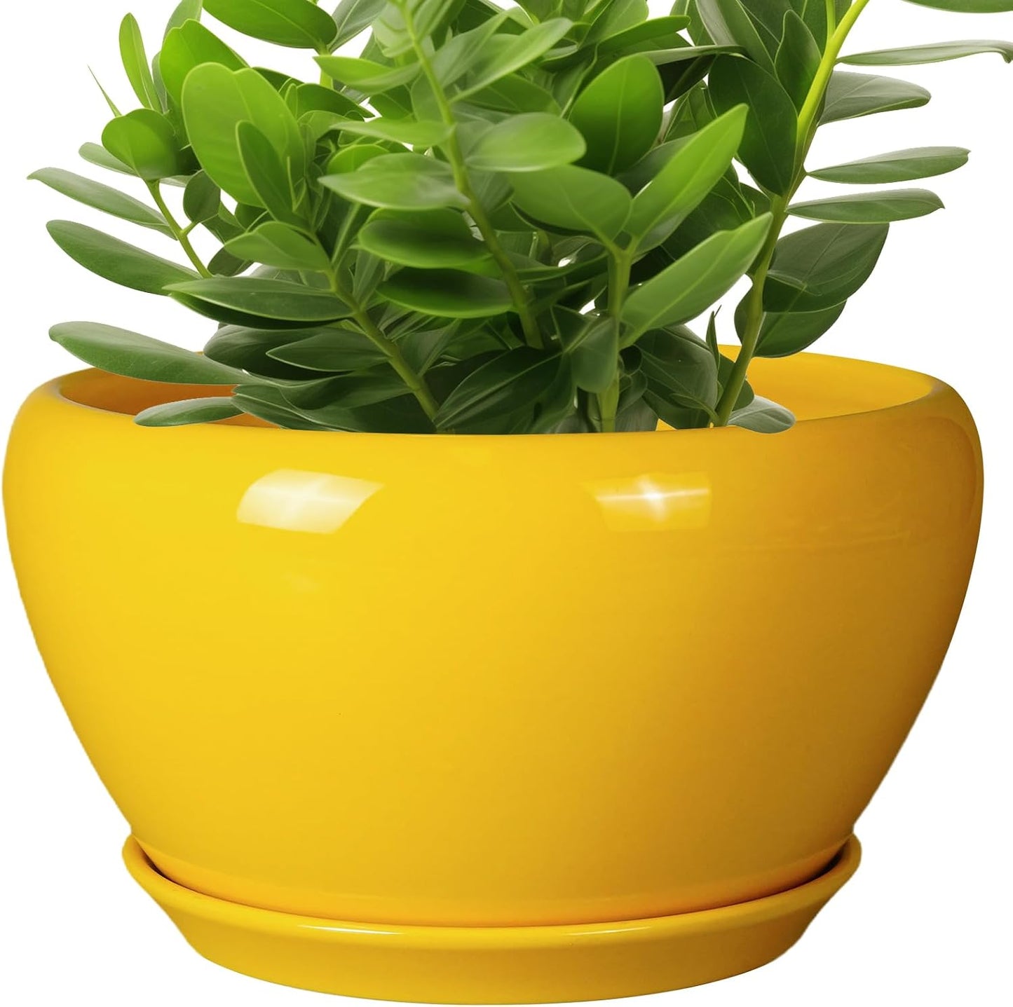 Maceta Cerámica Interior 11" Decorativa con Drenaje