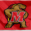 Bandera universitaria grande Terrapins Maryland