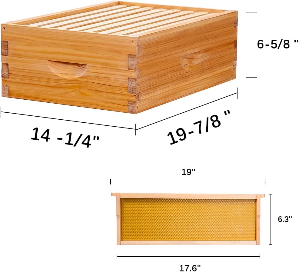 Caja colmena Langstroth 8 marcos Medium Super sin montar