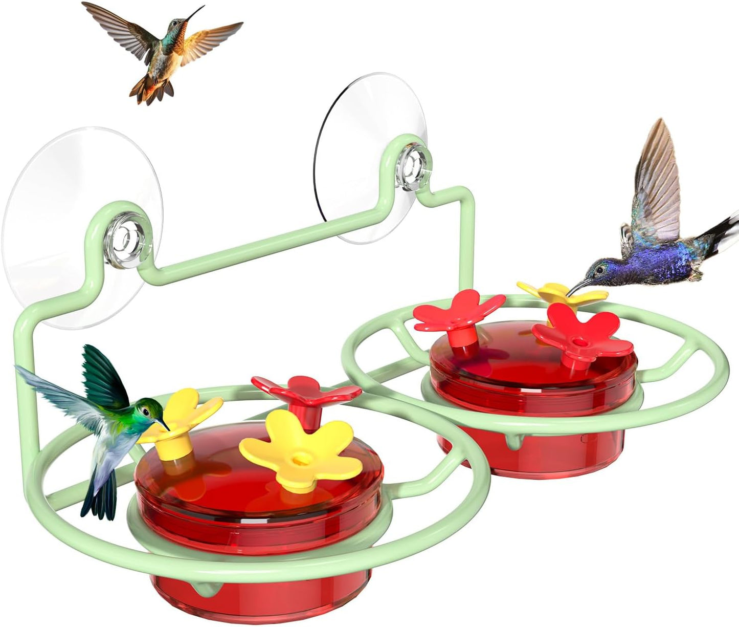 Comedero colibríes ventanal 6 puertos metal ventosa