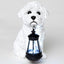 Estatua perro resina con luz LED exterior Bichon