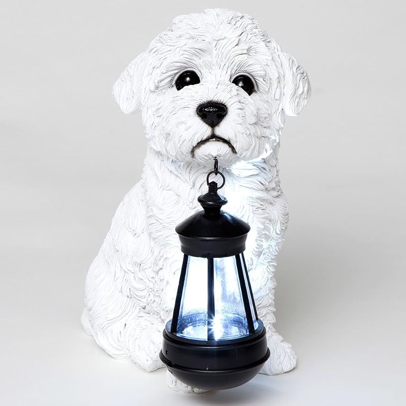Estatua perro resina con luz LED exterior Bichon