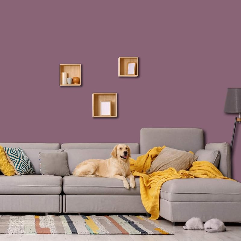 Set Mesa para Familia de 6 Personas