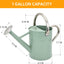 Regadera acero galvanizado boquilla extraible 1gal verde