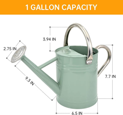 Regadera acero galvanizado boquilla extraible 1gal verde