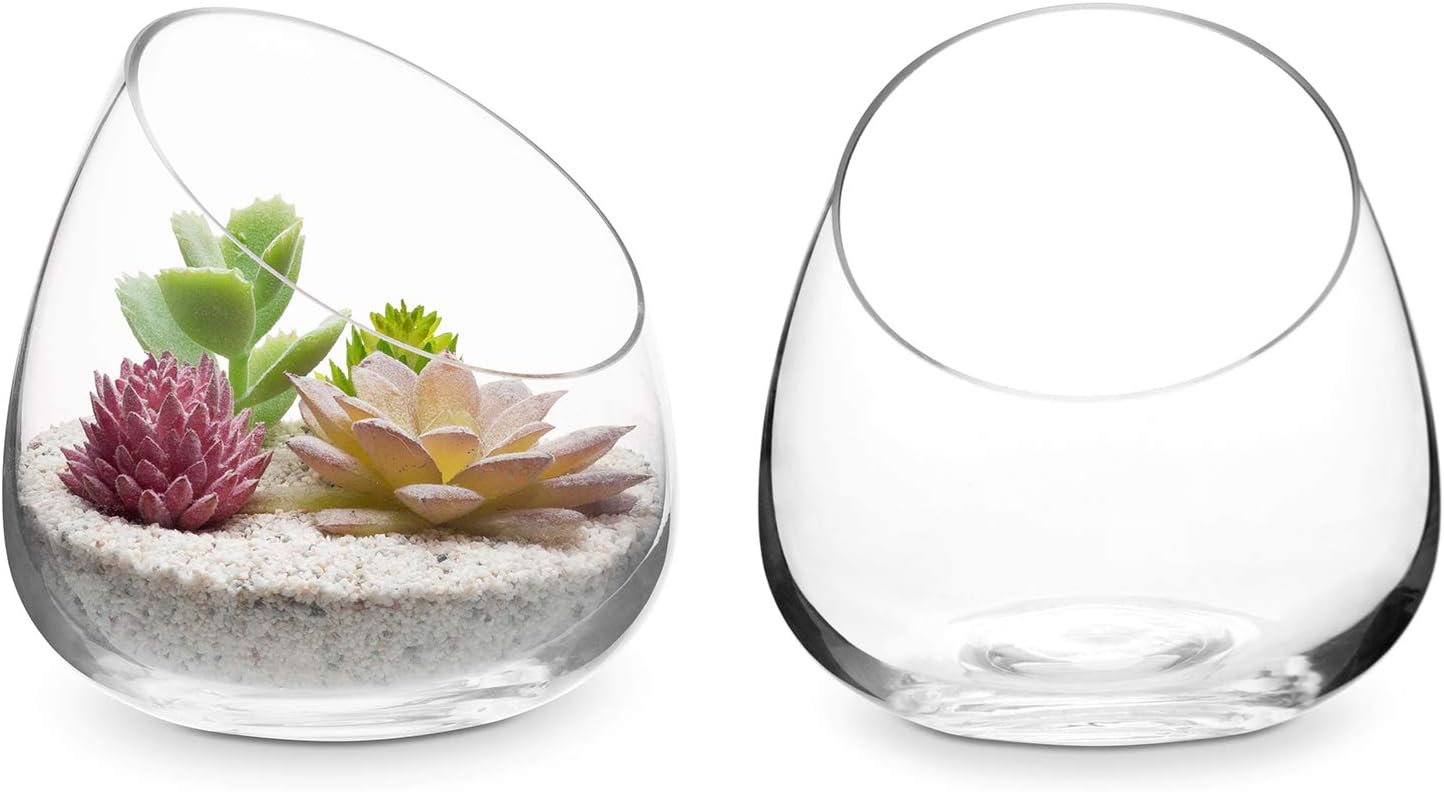 Terrario cristal 5pulg para plantas aire cactus suculentas set 2