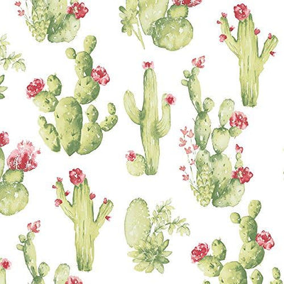 Papel pintado cactus ck36630 prepegado