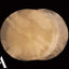 Cabeza piel cabra Djembe Doumbek natural 40,64cm
