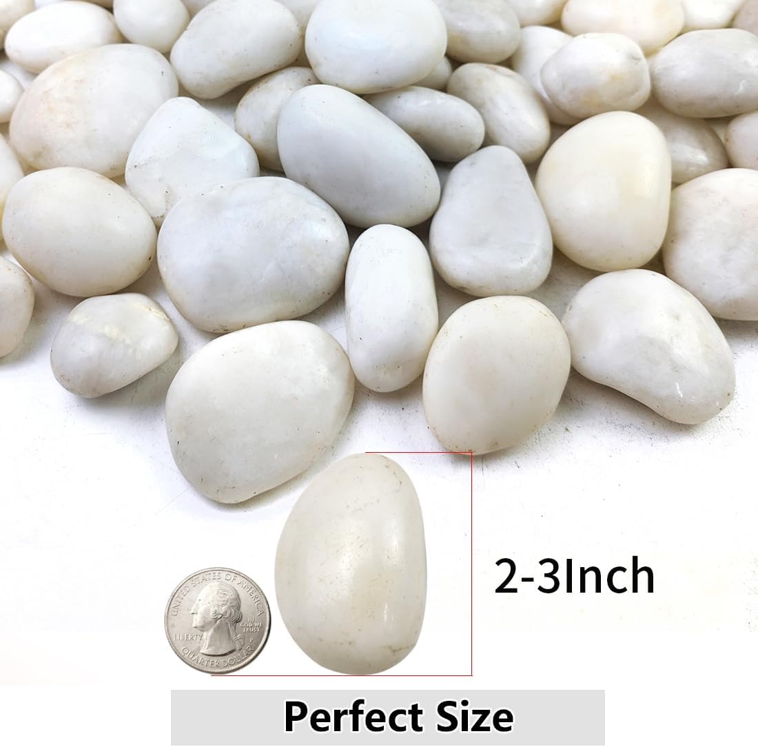 Rocas blancas de río 5lb para plantas, jarrón, acuario