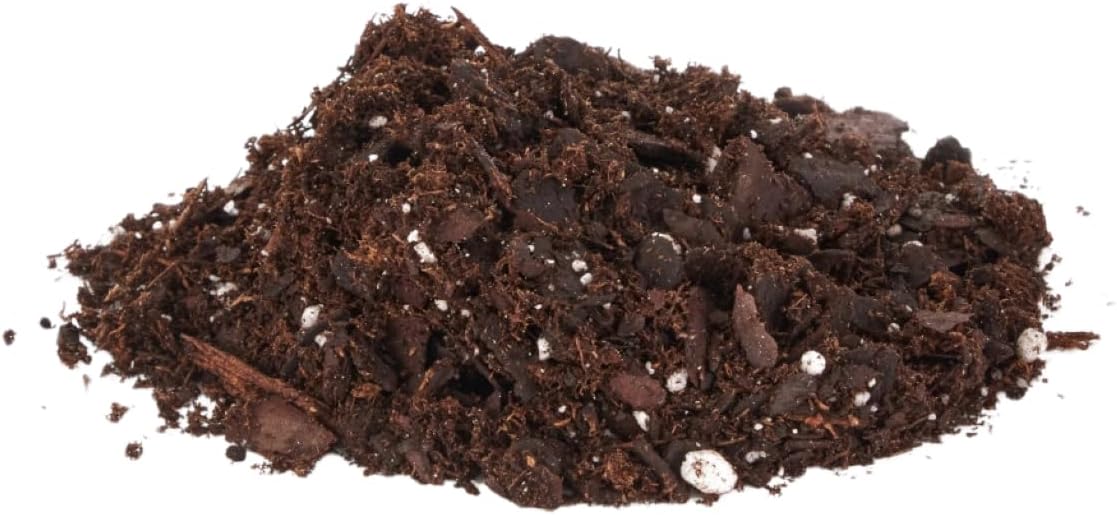 Mezcla orquídeas oro negro 8qt para macetas plástico