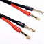 Cable adaptador banana a Speakon 12AWG set 2
