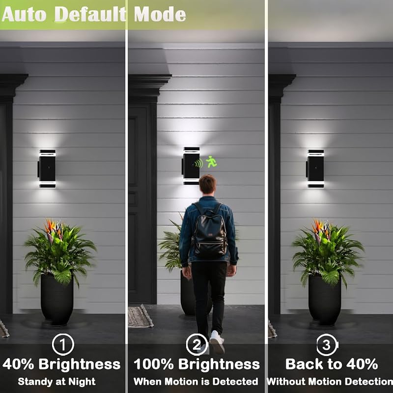 Aplique pared exterior sensor movimiento 5000K luz día